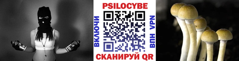 магазин    Новотроицк  Галлюциногенные грибы мицелий 