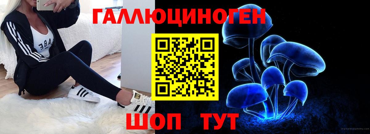 Псилоцибиновые грибы мицелий  Вход с VPN  Новотроицк  Псилоцибиновые грибы GOLDEN TEACHER 