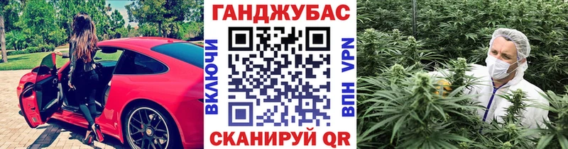 Шишки марихуана сатива Новотроицк